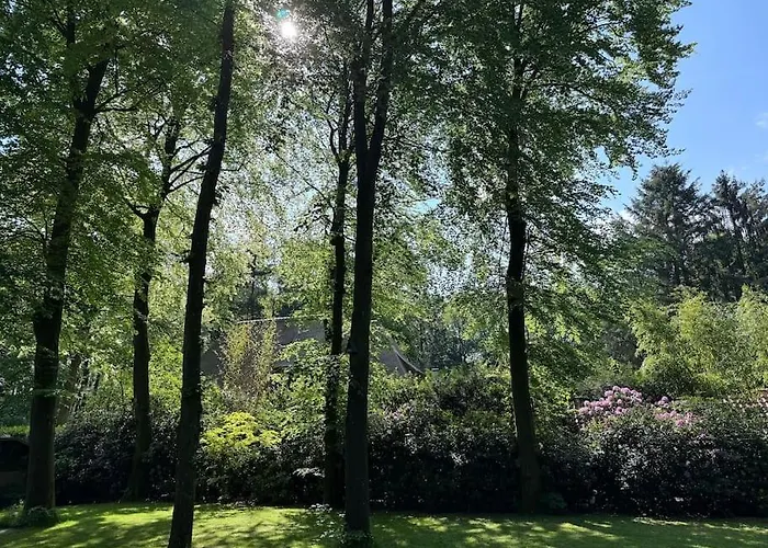 't Esdoorntje Dom wakacyjny