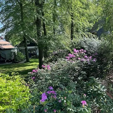 't Esdoorntje *