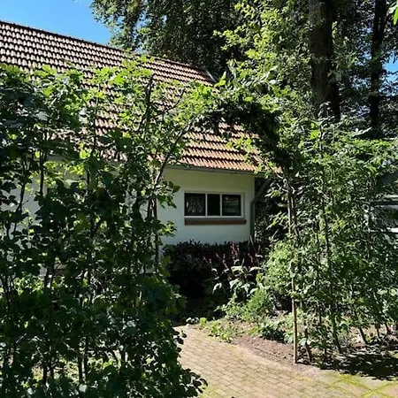 't Esdoorntje
