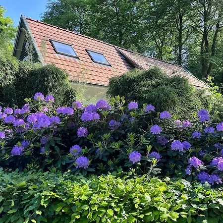 Semesterbostad 't Esdoorntje *