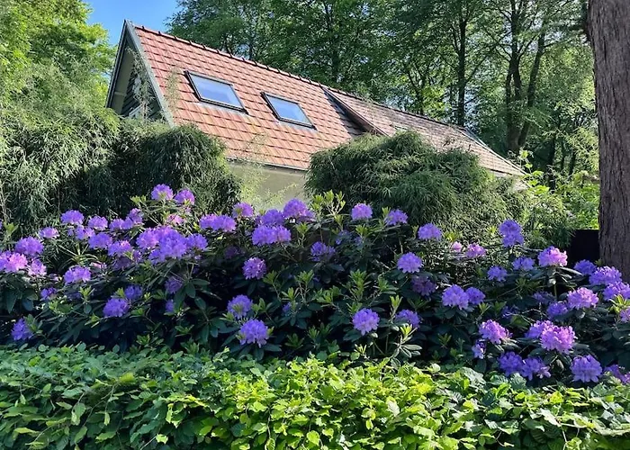 Semesterbostad 't Esdoorntje *